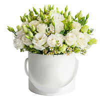 עיצוב חופות